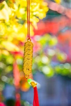 nổ hũ 8Day